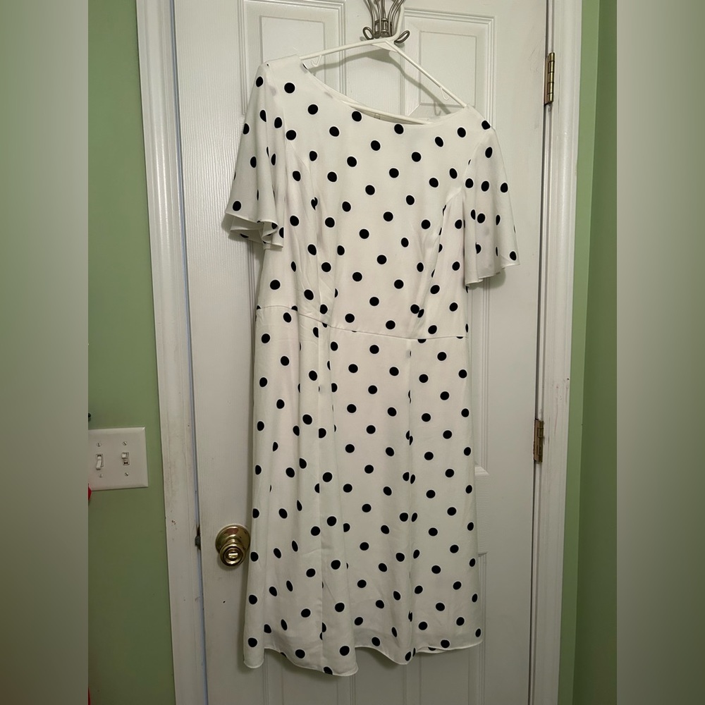 Lane Bryant fit and flare dress
